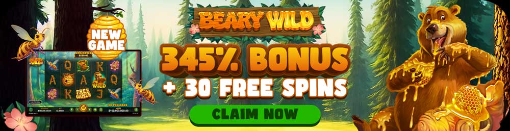 Beary Wild Pokie Mate bonus